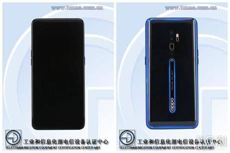 股东分什么股东