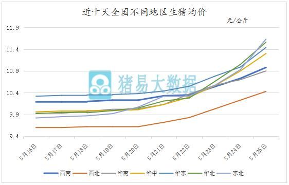 猪价涨势迅猛！有地区上涨0.75元