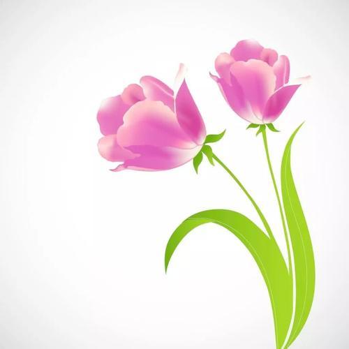 微信简短精辟的人生感悟短句,早安令人感触良