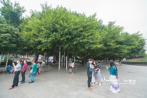 国家为什么不管北海