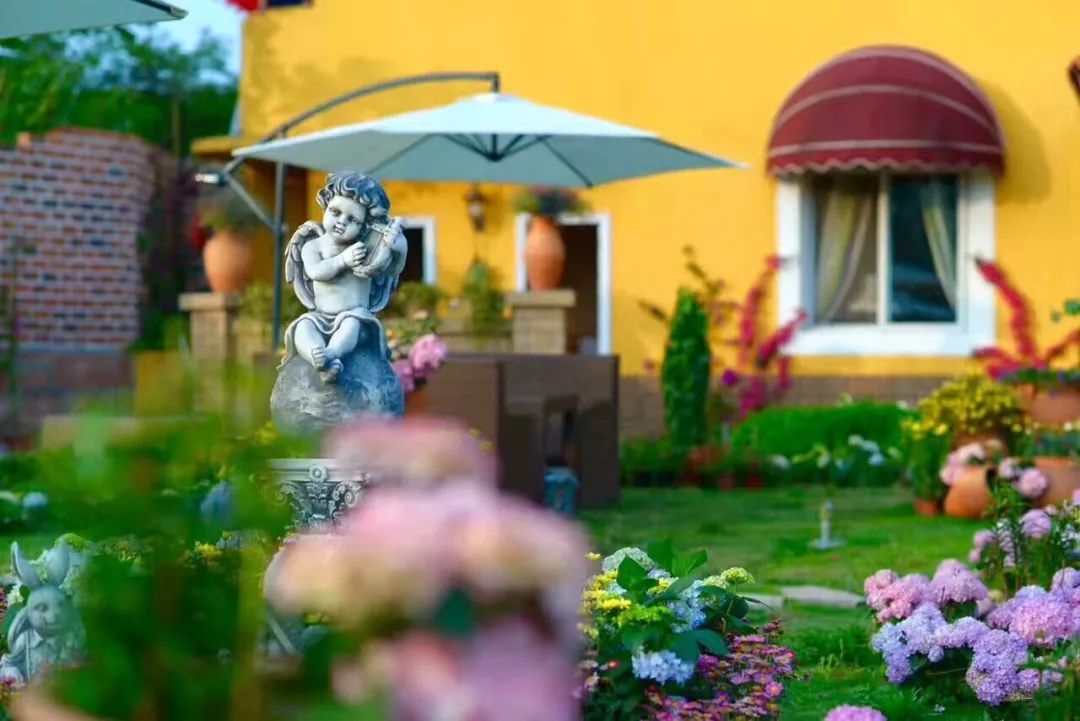 一对夫妻把青白江农家改造成“田园牧歌”，从此家有美景何必远方