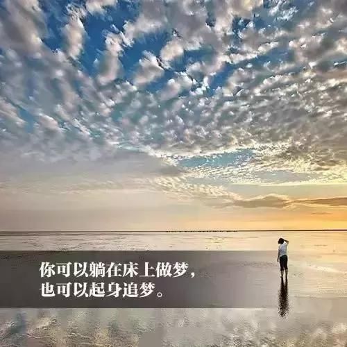 t016d2cfe7c8211d288.jpg
