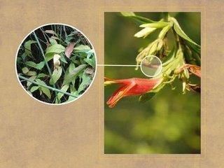 身体发出这3个信号暗示你血管堵塞了，六种食物经常吃下去，血管