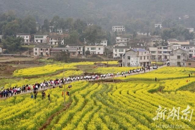 莲城风景美如画 踏青何必去远方