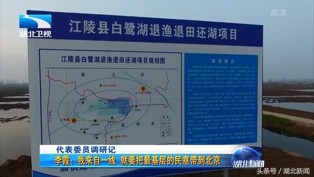 李霞：希望国家支持荆州江陵建成国家区域性交通物流枢纽