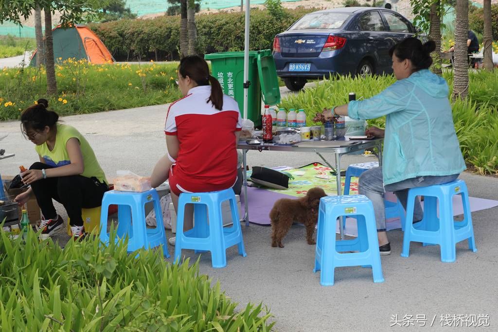 青岛胶州湾小螃蟹泛滥，赶海能抓好几百只回家油炸下酒爽歪歪