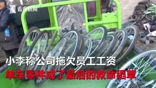 厉害了中消协!酷骑单车被举报已立案审查,4亿