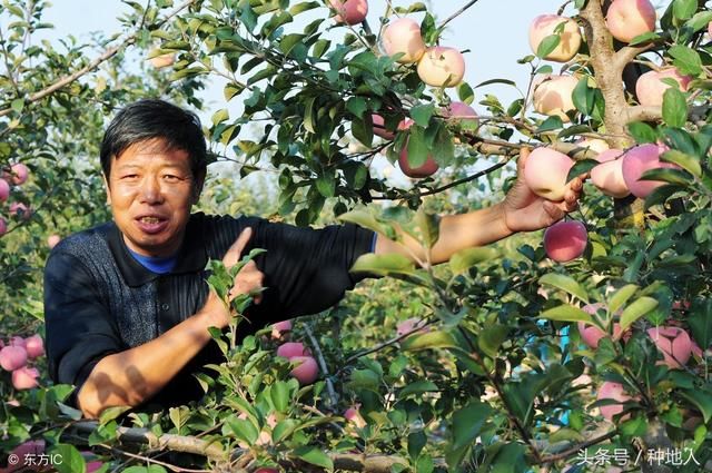 化肥不是越多越好，2018年种地需转变观念！