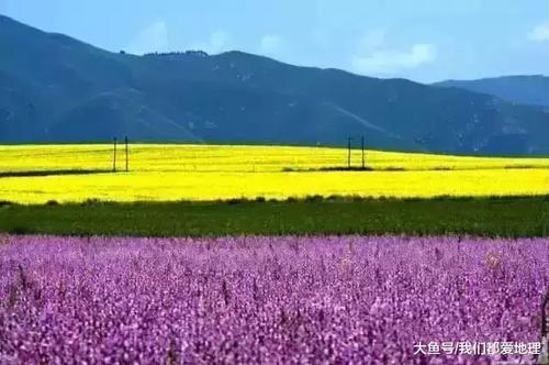 现在能去新疆伊犁吗 t016dee0dd4cb4c1479.jpg