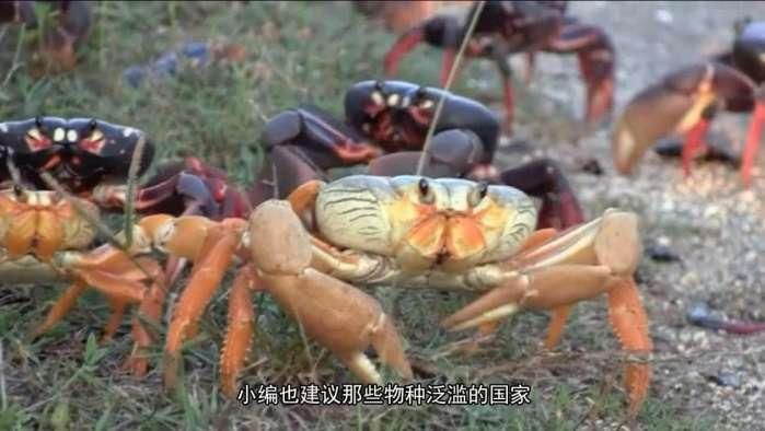 中国山东一夜之间大面积消失一种生物 真相曝光后俄罗斯却尴尬了