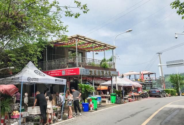 成都龙泉水蜜桃成熟了 城里人竟在桃园里干出