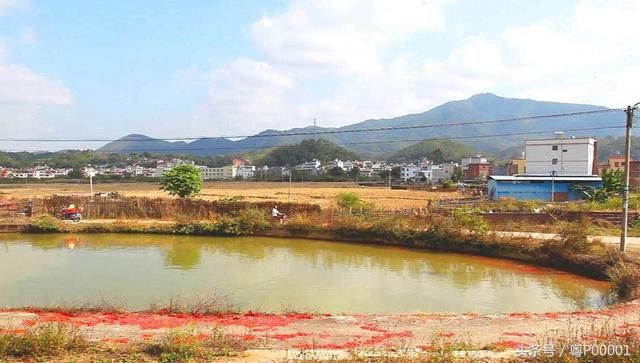 《绿树村边合,青山郭外斜》东源县久社水头村