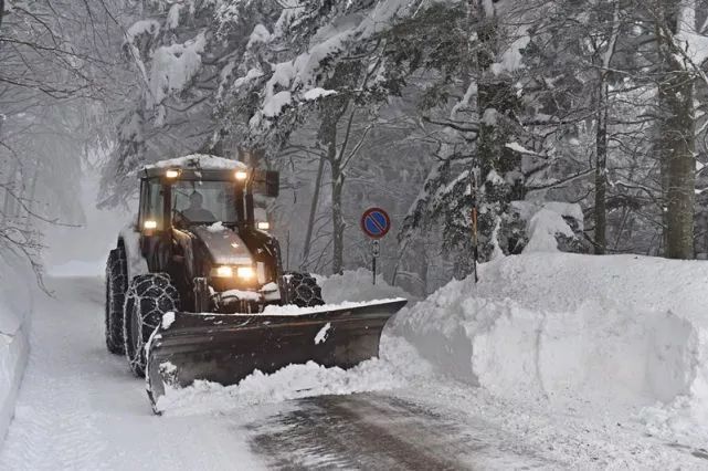 欧洲倒春寒，伦敦罗马汉堡全在下!大!雪!