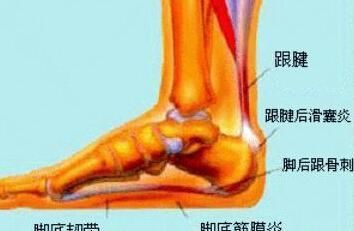 泡脚加一汤，足跟疼痛好到不得了，双脚不适不再有