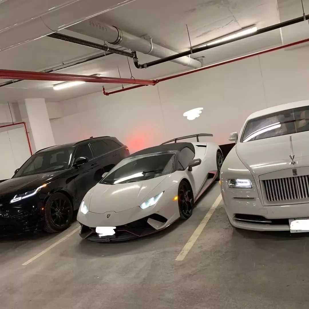 中国留学生加拿大惨遭绑架! 被电晕后拖走 开兰