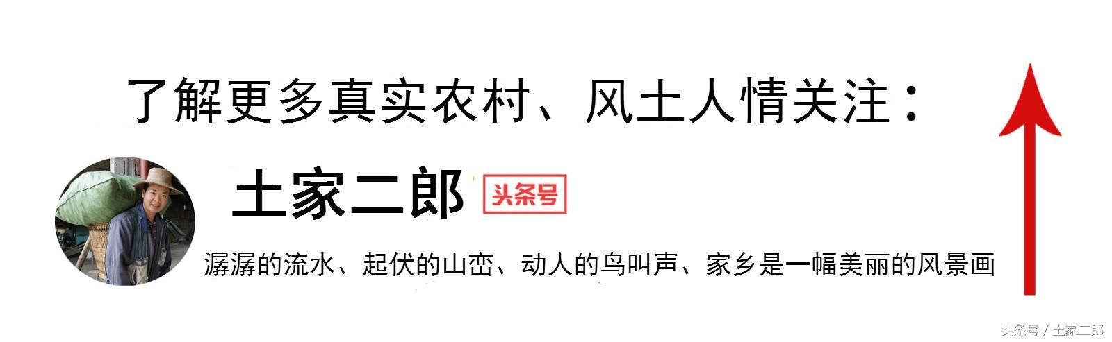 农村杀年猪的“禁忌”，大家觉得有依据吗？