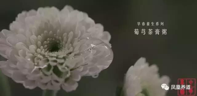 孟春之际，乍暖还寒，用这碗粥治愈您