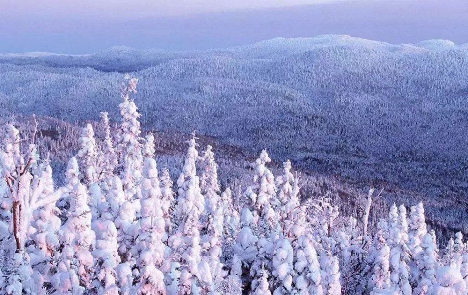 平昌冬奥会正式开幕，NASA从美国运来11台神秘设备来帮忙……