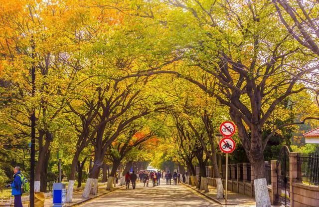 为什么叫八大关 t016f9cd5ce672dd2b1.jpg