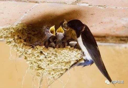 【Haidegym镜湖体育馆海德全民健身中心】中