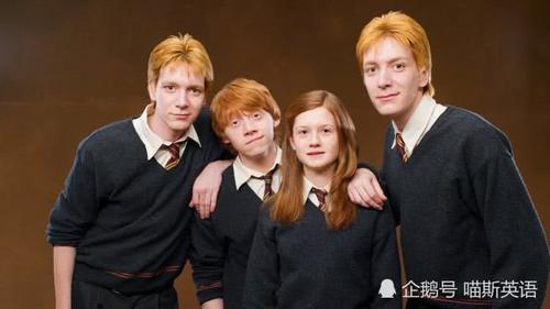 哈利波特:如何区分韦斯莱家的双胞胎?俩人的不
