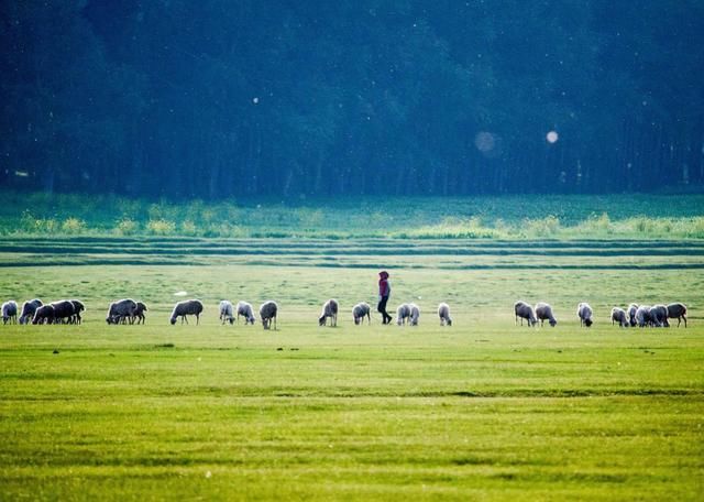 7月走进坝上、走进草原、走进盛夏的乌兰布统！