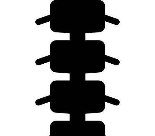 脐带充质干细胞是什么