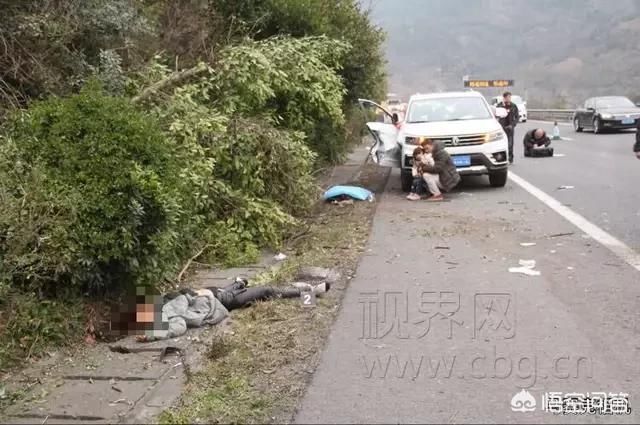 如何看待重庆母女高速停车上厕所，被撞身亡，距离服务区仅4公里