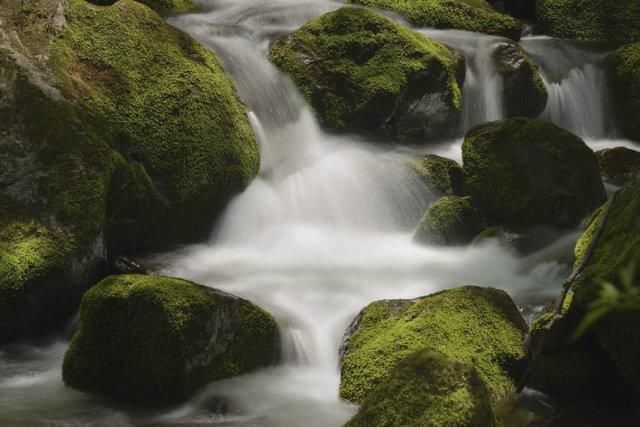 秦岭神奇第一谷 红河谷有落差八十多米的陕西第一瀑