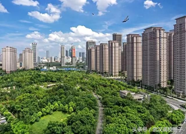 武汉30个春游免费景点大集合!踏青、骑行、拍照来这里就对了!