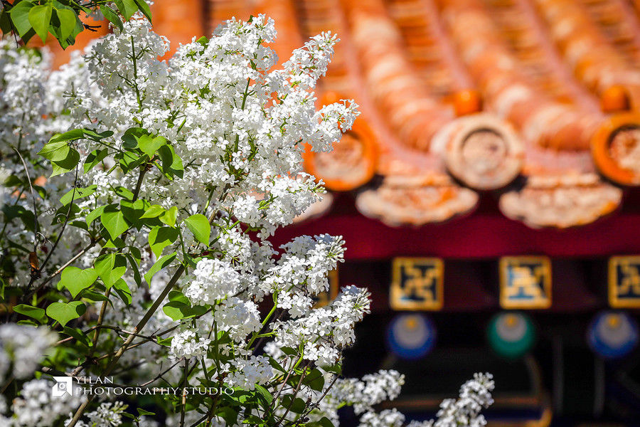 五一北京天气预报,2019北京五一天气信息