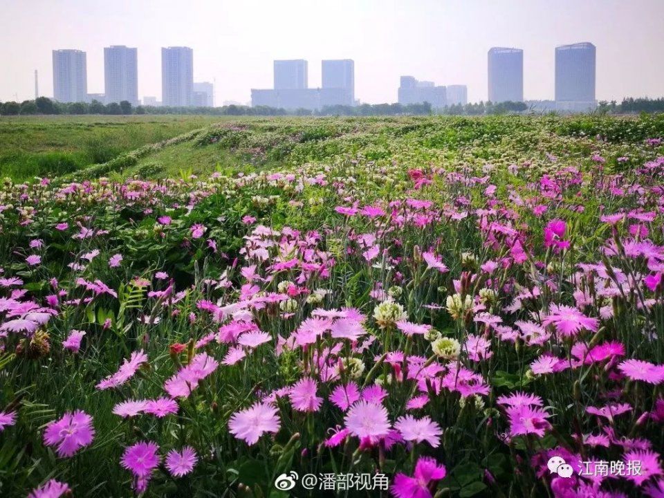 五一无锡哪里景区人拥挤?江苏旅游局发话:看我这张表……