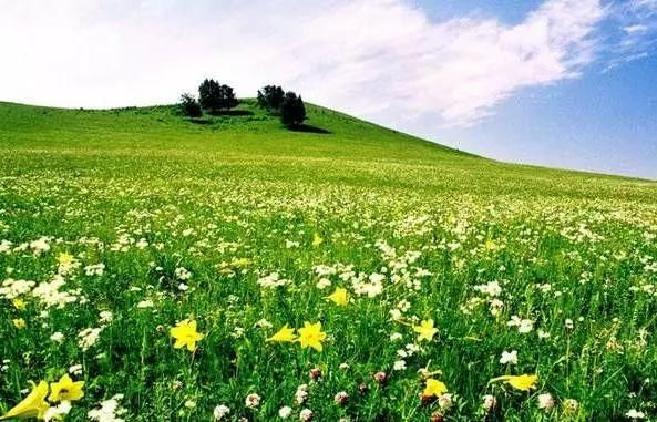 7月走进坝上、走进草原、走进盛夏的乌兰布统！