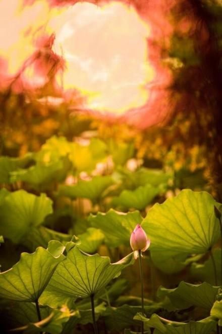 挫折中学会成长,坚强中把希望点亮