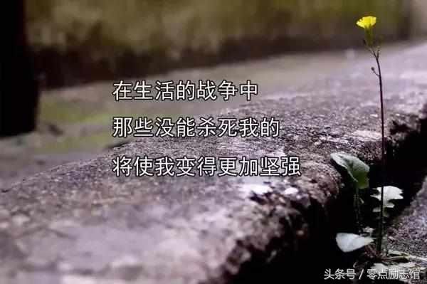 t017108eb41a99137e8.jpg