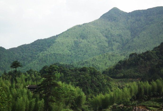 福建最高的五座山峰，第一名比泰山高630米，你知道在哪吗?