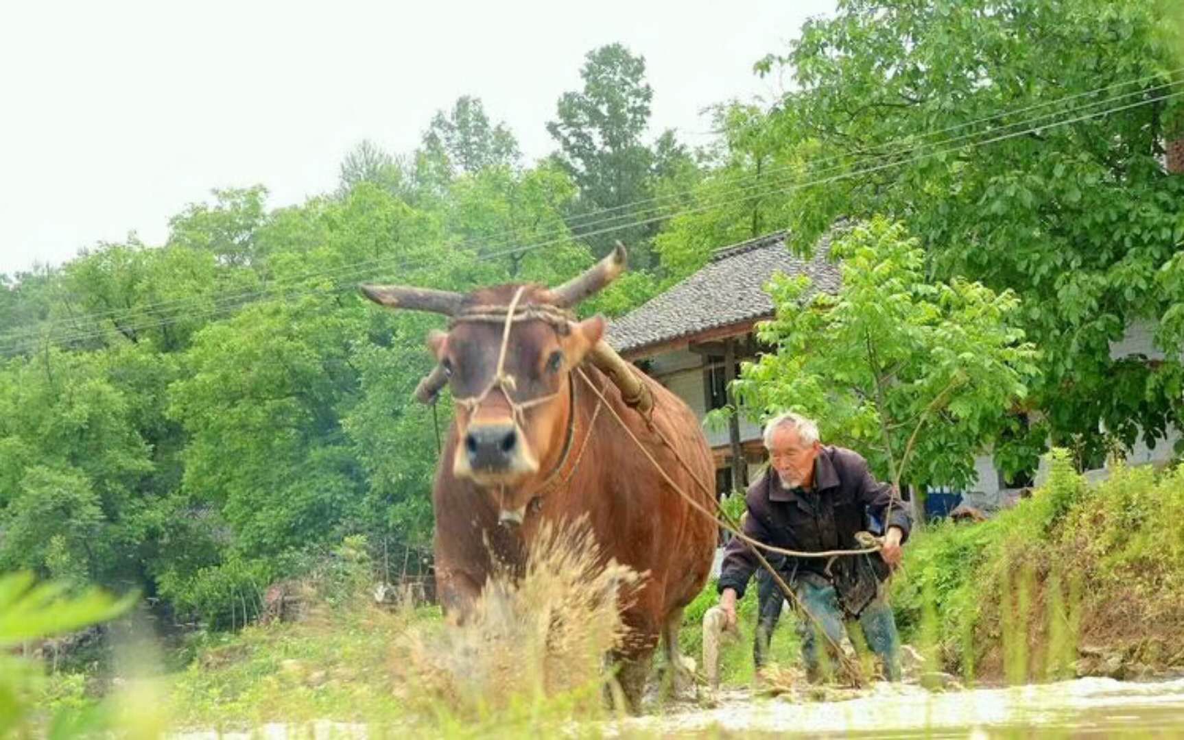 此情此景，距离今天的孩子究竟有多远?