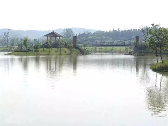 你住在哪个区?最近徐州这几个区吵起来了…_