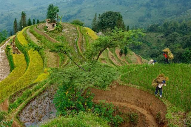 国家地理：拥挤的地球，何处是最佳旅游去处？