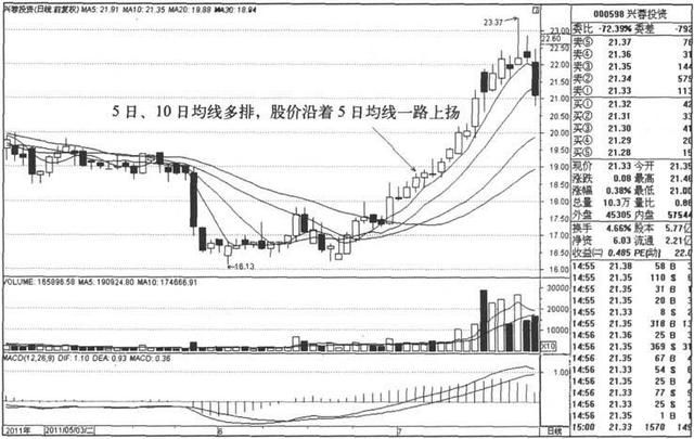 中国股市血淋漓的教训：“金蜘蛛形态”重仓买入，这是大行情讯号