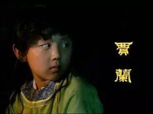 贾政夫妇引以为傲的儿子----贾珠
