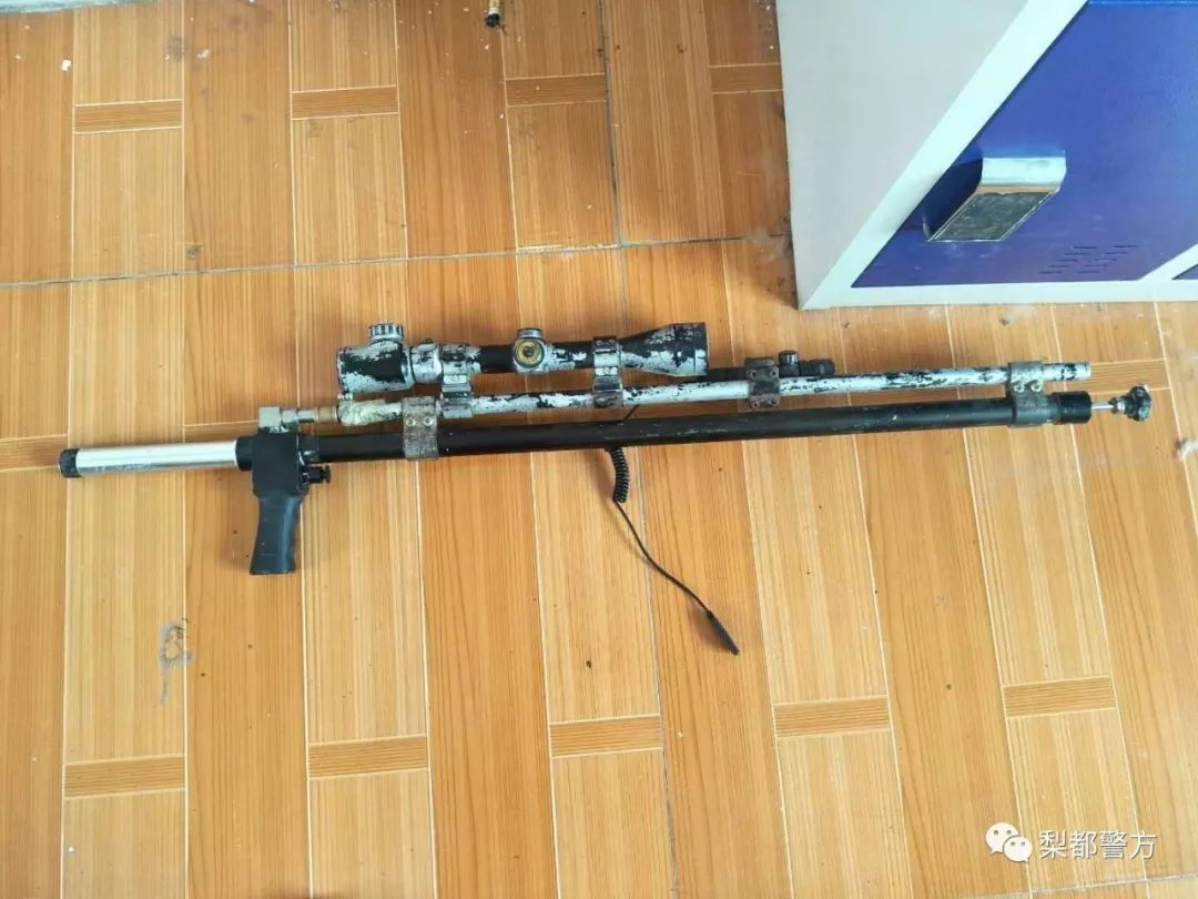 砀山唐寨一男子买气枪打鸟 鸟没打着人被拘!