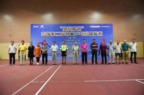 富安居杯全国第二届砂板乒乓球团体锦标赛在
