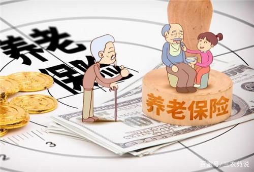 社保指的是什么