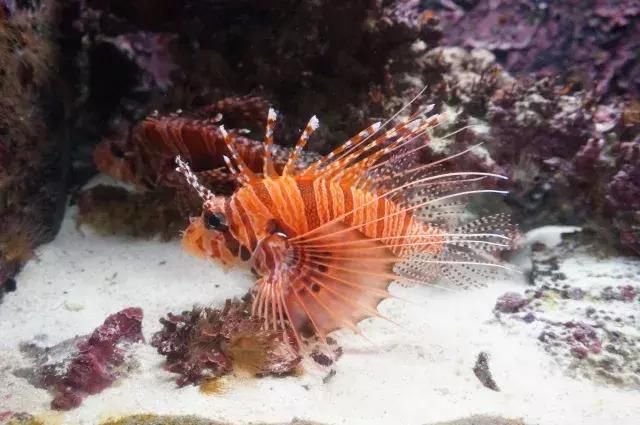 如果旅行是毒药，那姐妹淘就是我的解药！