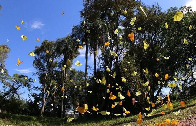 美翻了！五一这个地方必须曝光，门票还免费送！