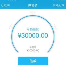 网友:微粒贷、网商贷如何抉择?利率哪个更低!