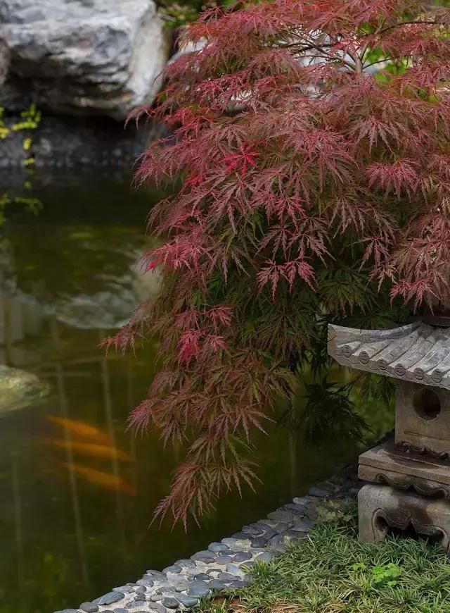 古典宅院里的中式风雅