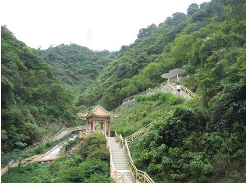 广州五星级医养结合养老院-广州友好老年公寓