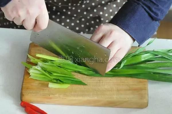 这种食物发芽后，不但没毒性还营养翻倍，记得春天多吃